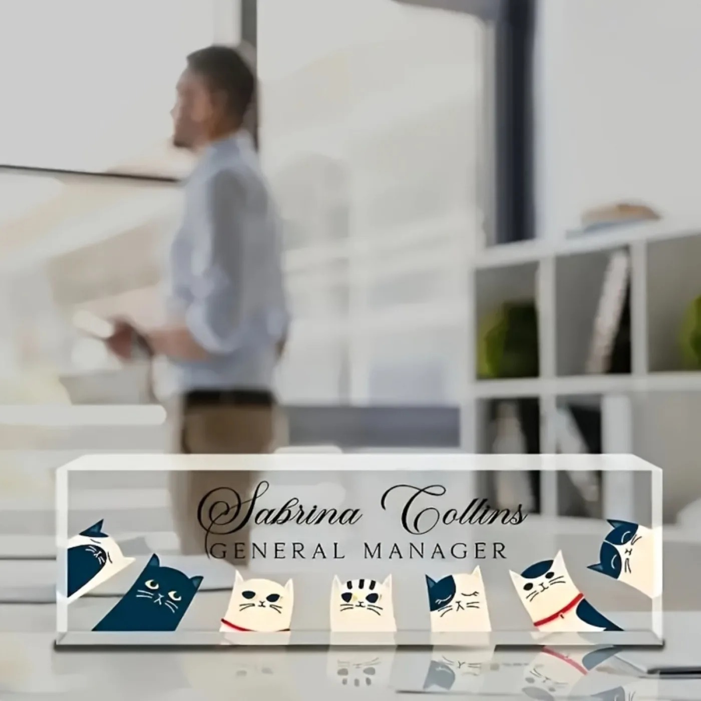 [2D Flat] Custom Transparent C - огляд і ціна Desk Name Plate